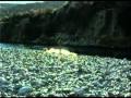 Fly Fishing with Brandon Pasley